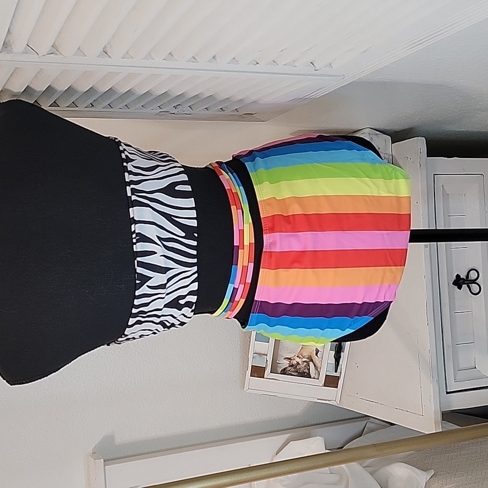 π5/$20 ποΈ Multi-Color Zebra Bikini - Picture 7 of 7